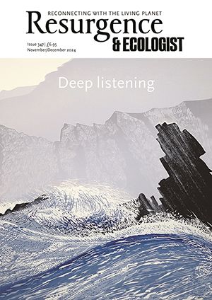 back issue 347